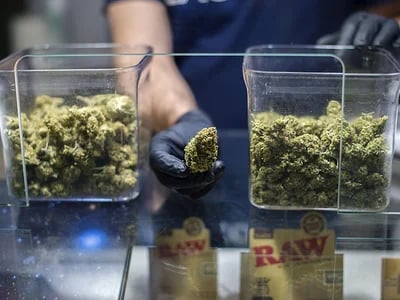 Compra inteligente de La Cosechera small buds con perfiles cítricos, dulces y afrutados en formatos cómodos y visualmente atractivos