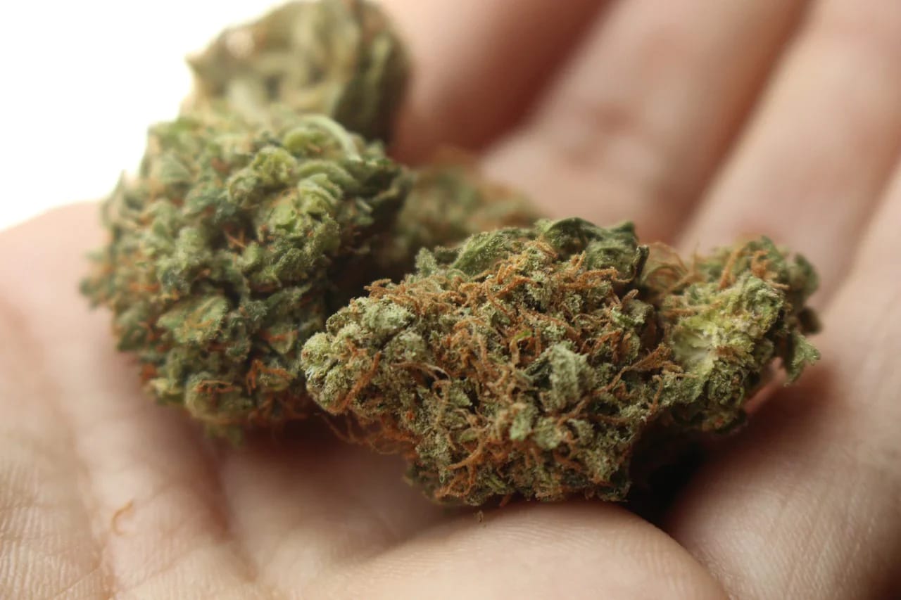 Premium THCA Flower Now Available at Delta 8 THC Austin – Fresh, Potent, and Aromatic
