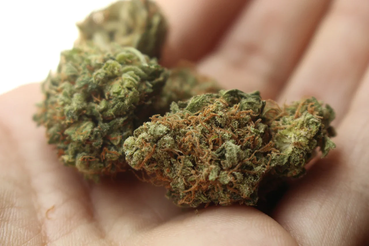 Premium THCA Flower Now Available at Delta 8 THC Austin – Fresh, Potent, and Aromatic