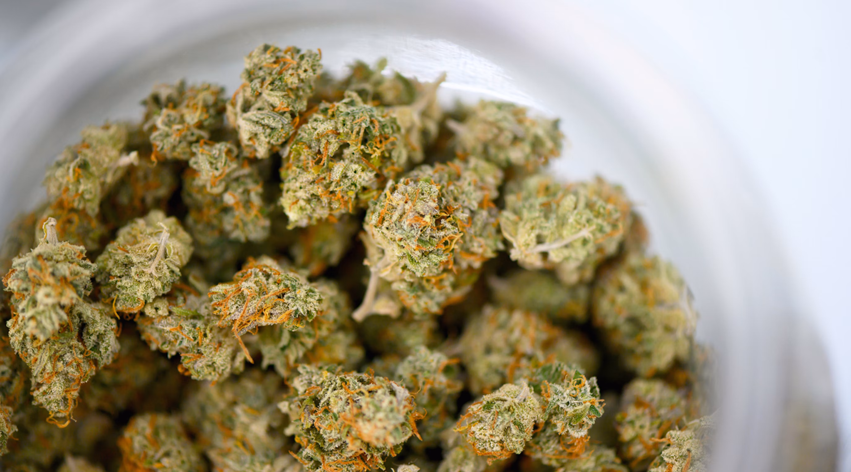 Legal Status of Marijuana Buds UK and Medical Use