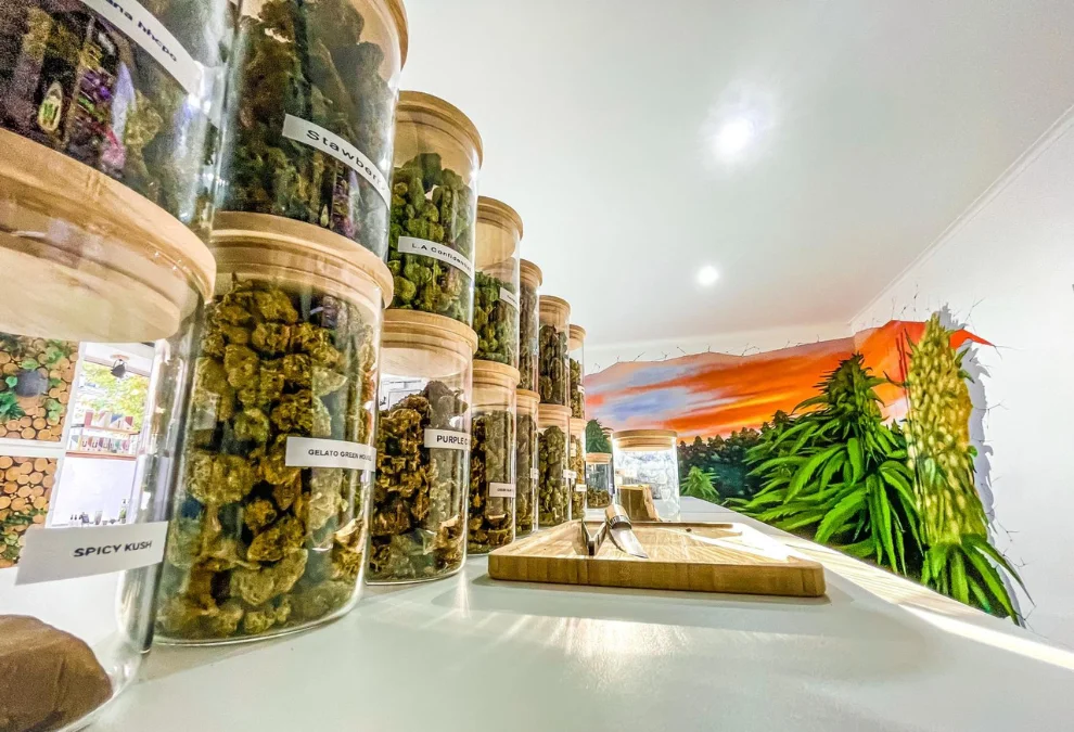 Coastal Delivery Halifax: Curated Cannabis Strains Delivered with Quality and Care