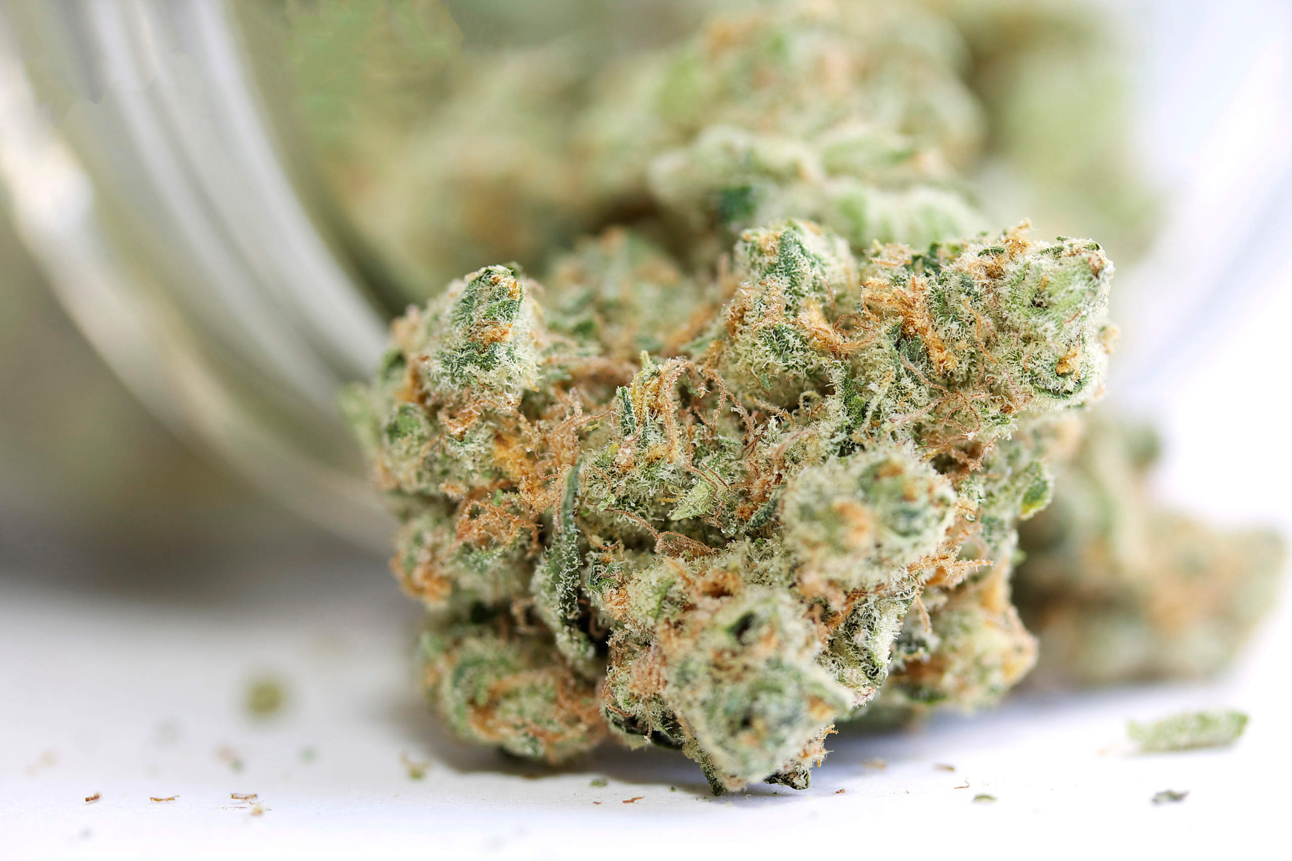 Legal CBD : Votre CBDShop en ligne pour l'achat de fleurs et résines CBD premium avec livraison rapide et sécurisée en France