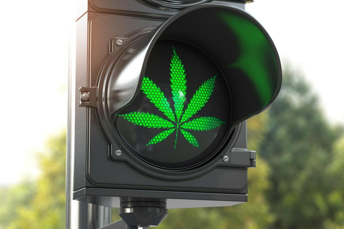 Euro Weed Clinic – A Premium Legal Marijuana Dispensary EU for All Europeans