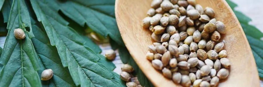 Legal Edibles Australia Online – Analysis of Australian Edible Products