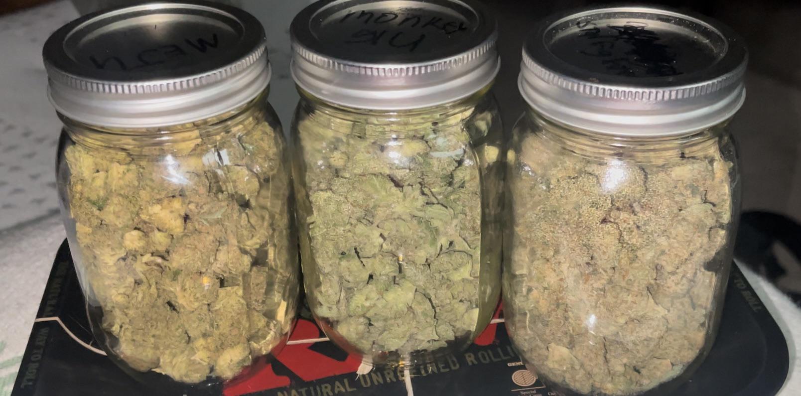 CBD Kush for Clients: Unmatched Assistance and Medicinal Marijuana Expertise