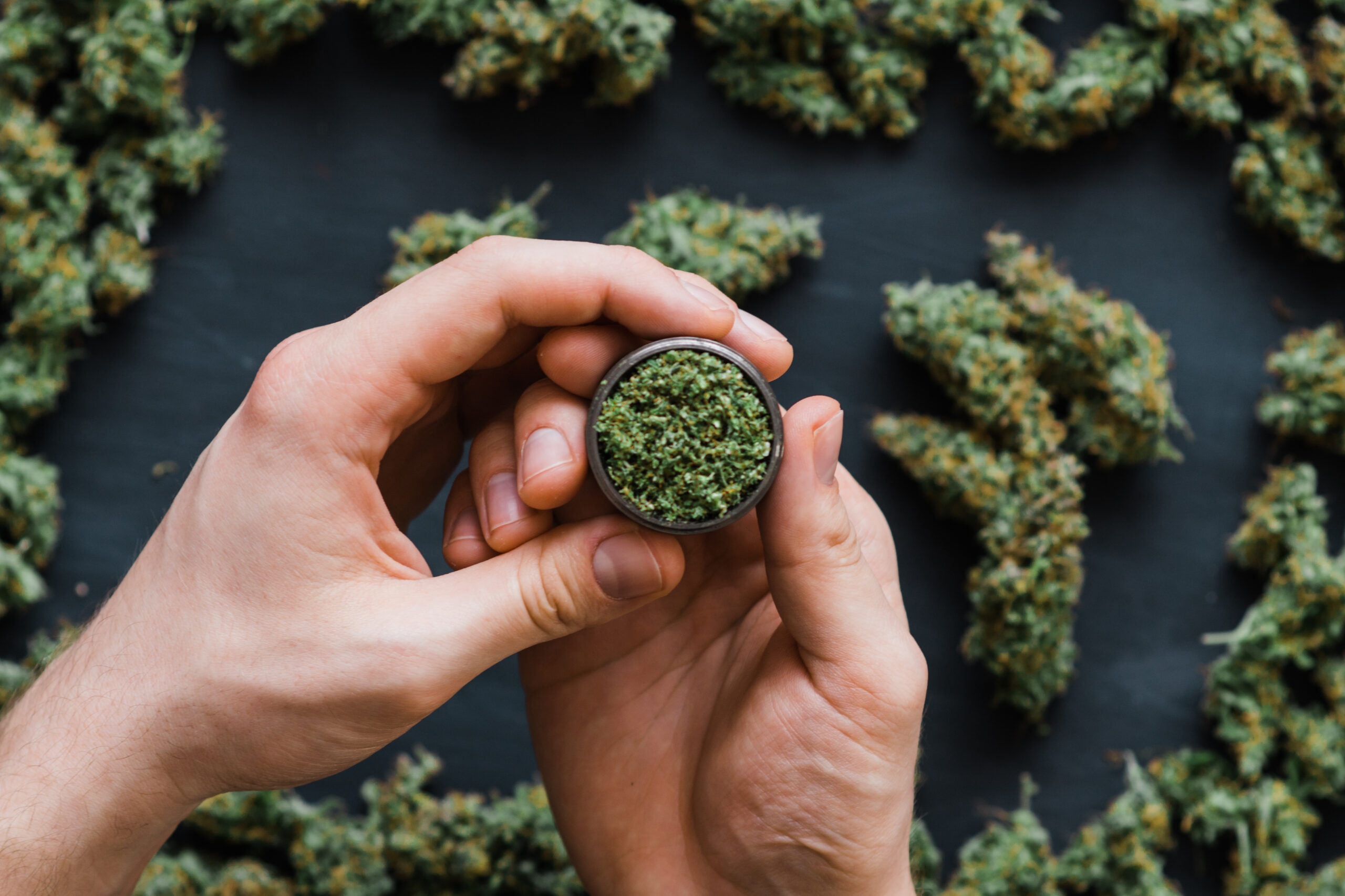 Legal Status of Marijuana Buds UK and Medical Use