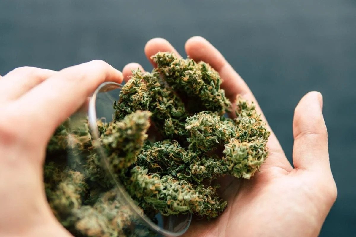 America’s #1 Cannabis Marketplace: Safe & Secure to Buy Marijuana Online